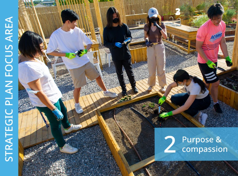 Students work in ISB's rooftop garden