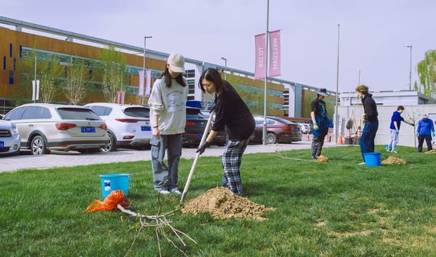 ISB students planting a tree