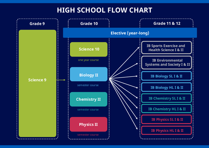 Flow chart showing science course options in the High School