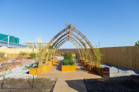 Roof_Top_Garden(08)