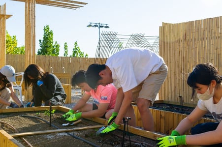 Roof_Top_Garden(38)