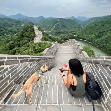  Rosalyn and ZhuZha take a break along the Great Wall. 